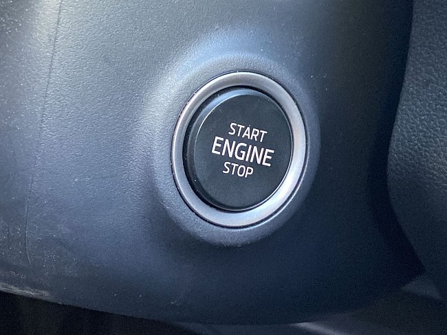 20195731.jpg