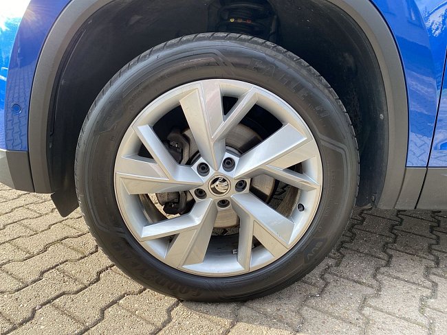 20195735.jpg