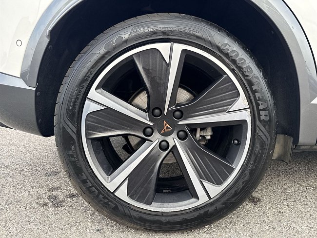 20195837.jpg