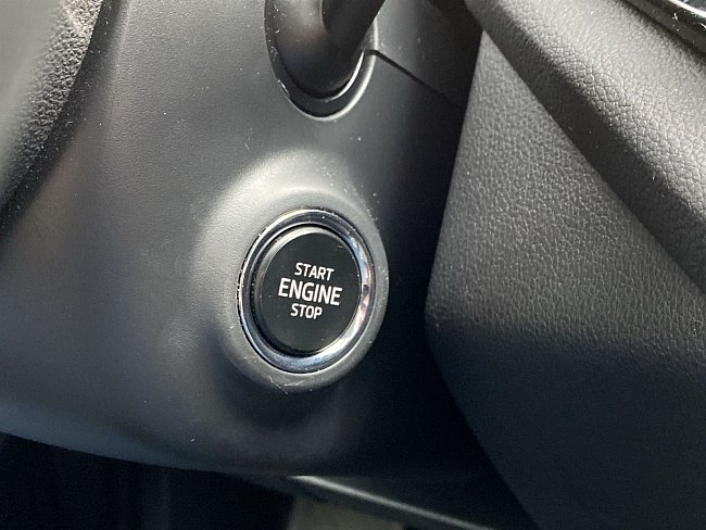 20195786.jpg