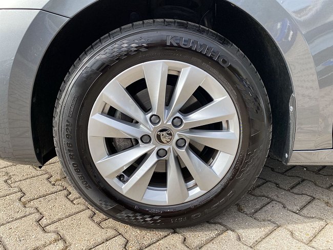 20195787.jpg