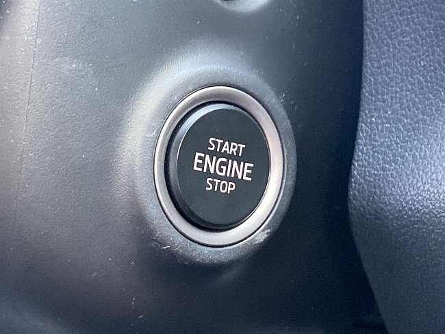 20195797.jpg
