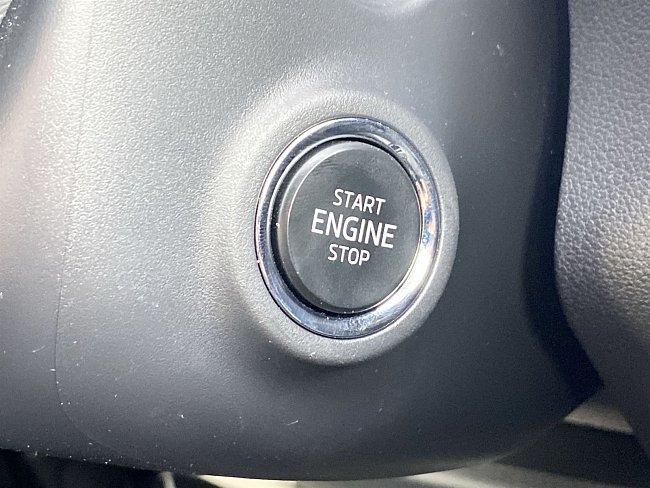 20195780.jpg