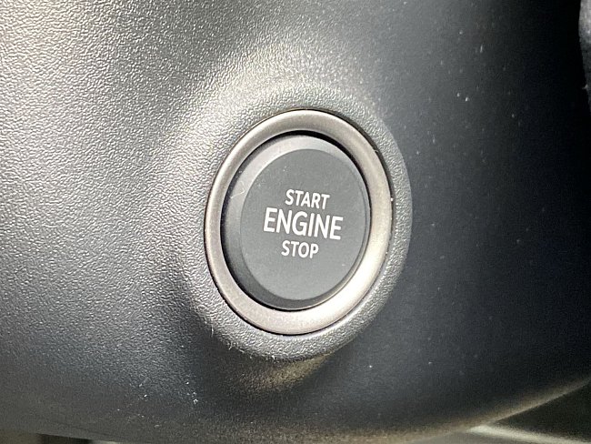 20195785.jpg
