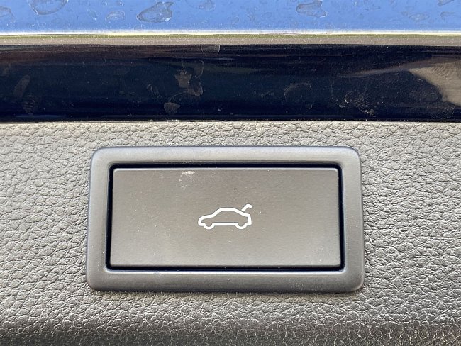 20195839.jpg