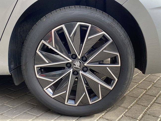 20195596.jpg