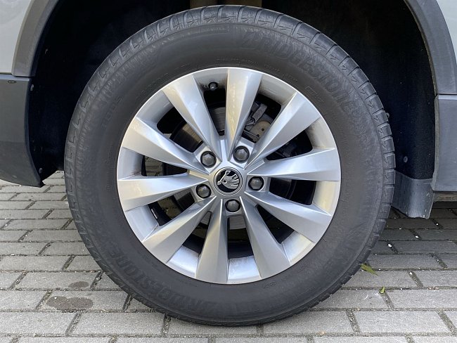 20195595.jpg