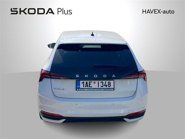 20195645.jpg