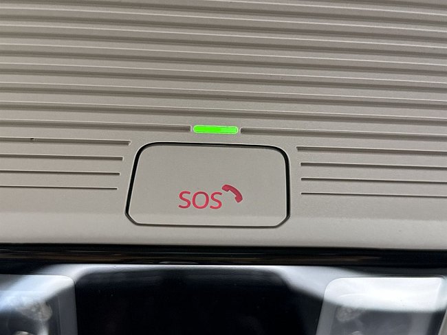 20195618.jpg