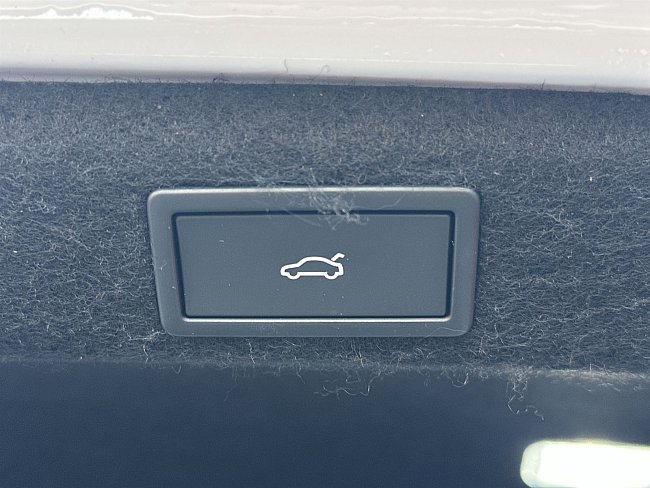 20195607.jpg