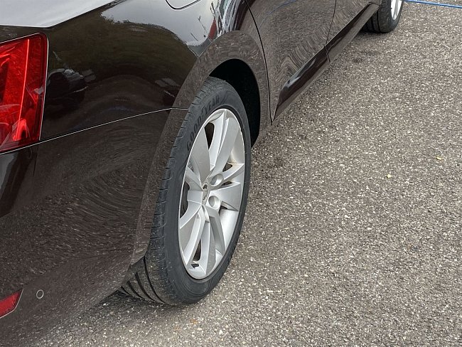 20195613.jpg