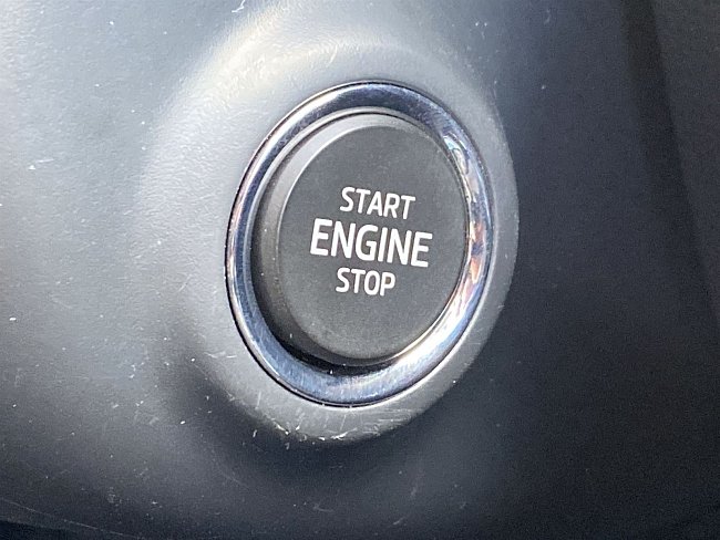 20195585.jpg