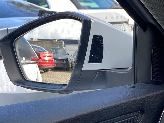 20195594.jpg