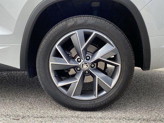 20195655.jpg