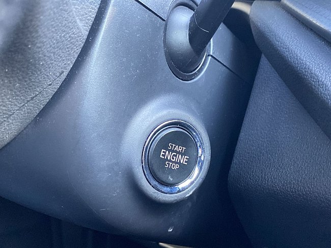 20195657.jpg
