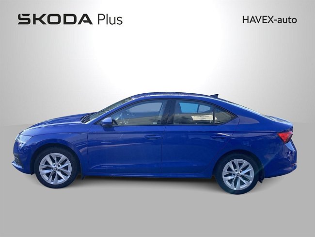 20195690.jpg