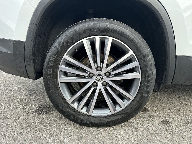20195682.jpg
