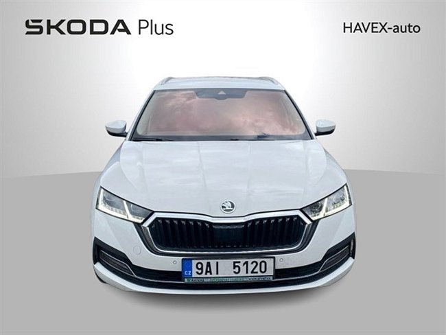 20195655.jpg
