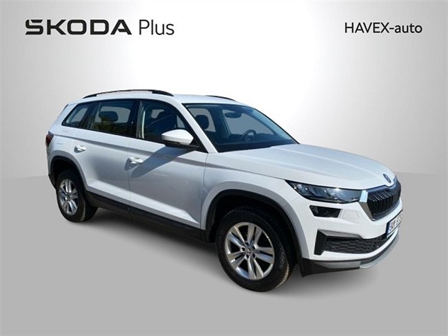 20195651.jpg
