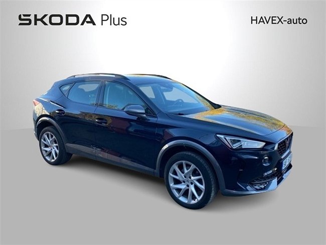 20195660.jpg