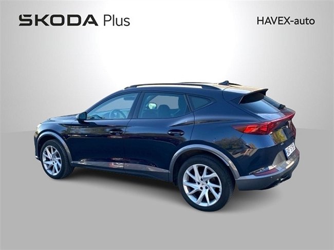 20195661.jpg