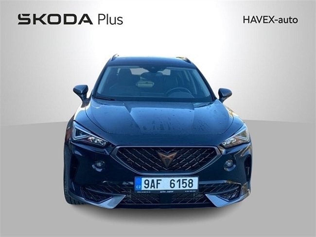 20195662.jpg