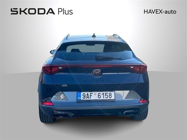 20195663.jpg