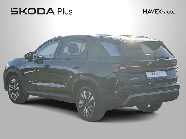 20195984.jpg