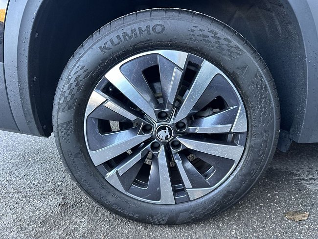 20196009.jpg