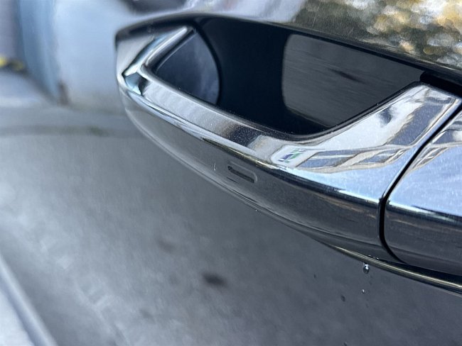 20196010.jpg
