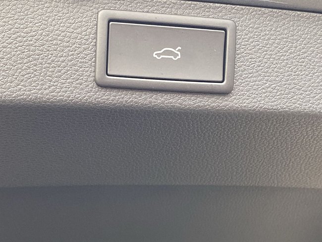 20196004.jpg