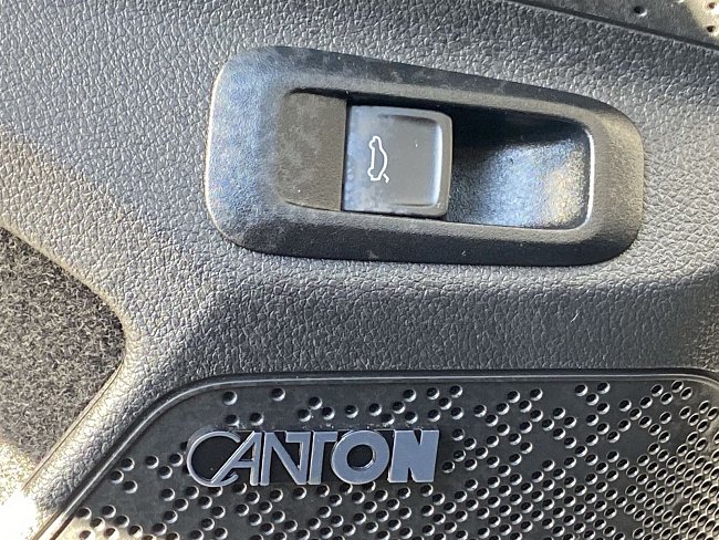 20196002.jpg