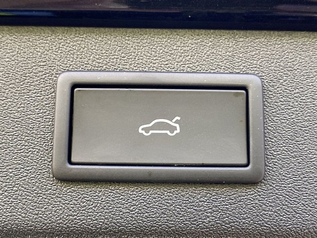 20195987.jpg
