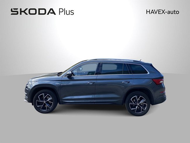 20196074.jpg