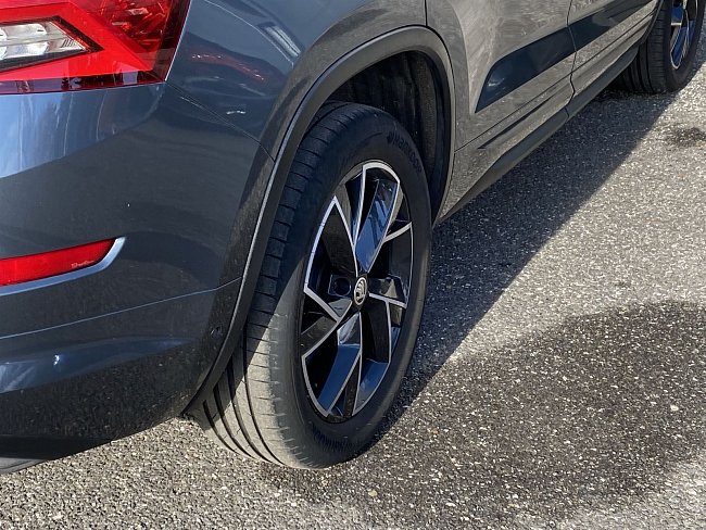 20196083.jpg