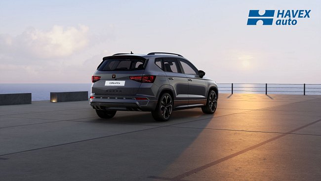 ateca-KBPBMS24-5X5X-back.jpg