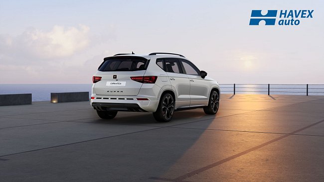 ateca-KBPBMS24-9P9P-back.jpg