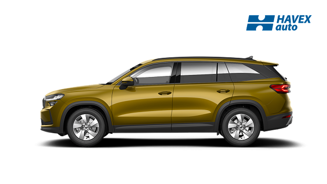 kodiaq-selection-P4P4-img-side.png