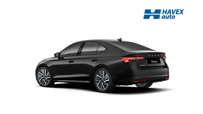 octavia-dynamic-1Z1Z-img-rear.png