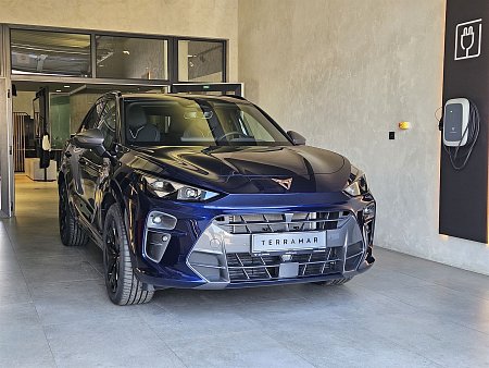 Cupra Terramar 2.0 TSI 204k DSG 4WD - havex.cz