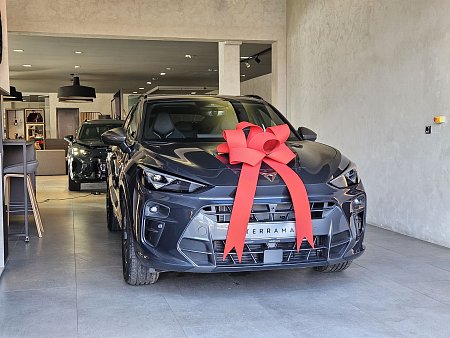 Cupra Terramar 2.0 TSI 204k DSG 4WD - havex.cz