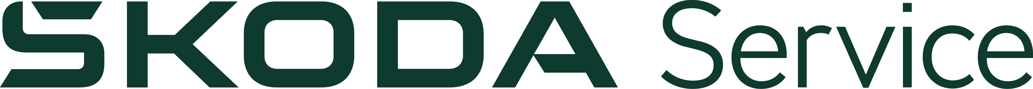 ŠKODA Service